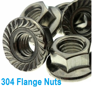 304 Flange Nuts Metric